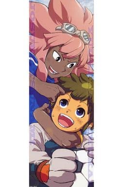 イナズマイレブン 綱海条介・立向居勇気◯126 Amazon.co.jp: イナズマイレブン 立向居勇気 綱海条介 キャラポス : ホビー