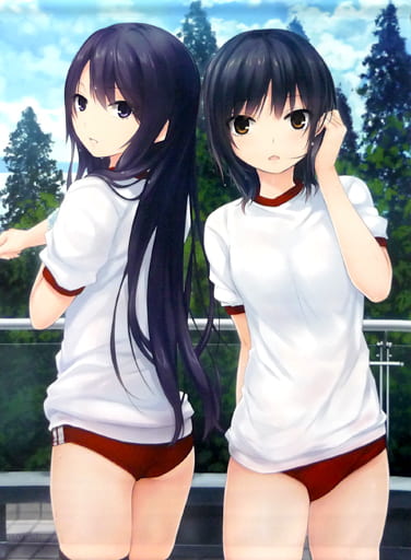 同人ポスター・タペストリー・カレンダー系　【オリジナル】B2タペストリー スク水Ver 青山澄香＆白峰莉花(珈琲貴族) C94/らしんばん 同人ポスター・タペストリー・カレンダー系 【オリジナル】B2