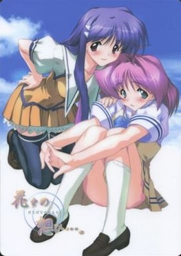 Mai Mizuno & Wakai Sakurai (vertical type) B5 Shitajiki 「 Hana no Omoi ...