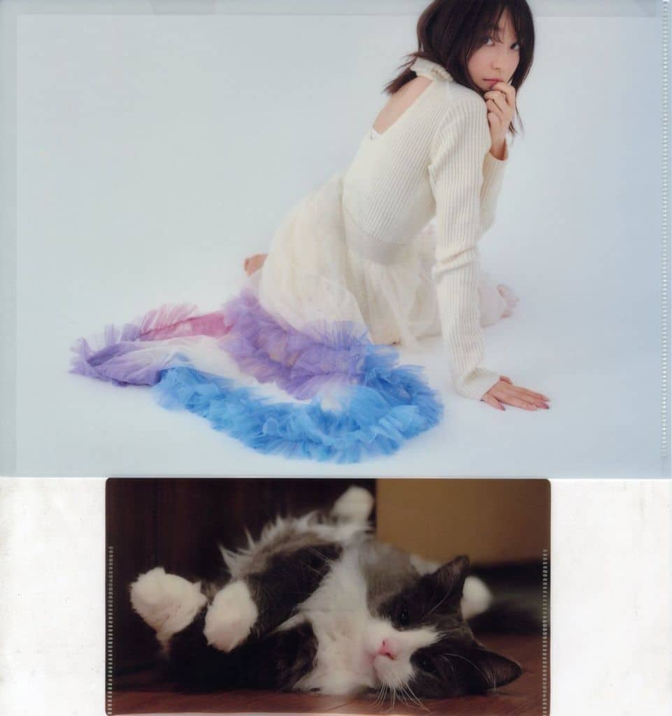 上田麗奈　feRmata クリアファイル　ジャケットイラスト　など 上田麗奈 feRmata クリアファイル ジャケットイラスト など