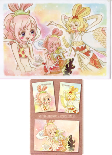 非売品　クリアファイル　プラコレ　しらほし 非売品 クリアファイル プラコレ しらほし Amazon.co.jp: プレミアム