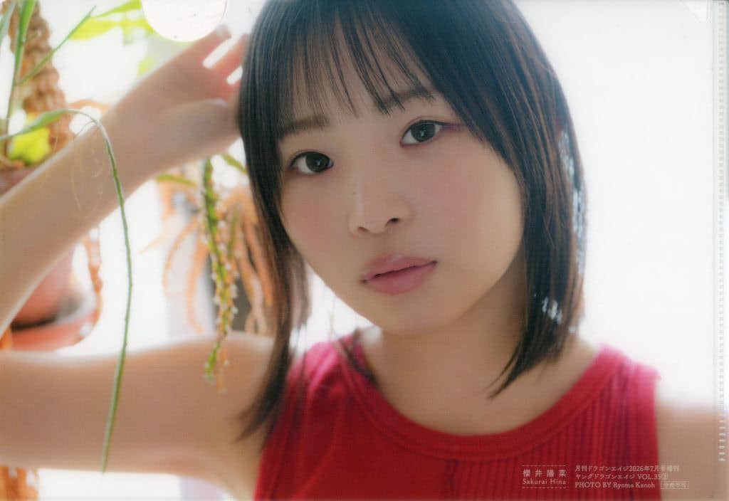 ヤングドラゴンエイジ VOL.35 櫻井陽菜 ブロマイド コンプセット 櫻井陽菜 ブロマイド 7種 特典 ヤングドラゴンエイジ vol.35の通販 by
