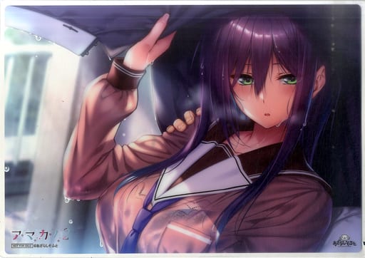 駿河屋 -<中古>[単品] 氷見山玲 オリジナルA3クリアデスクマット 「PC