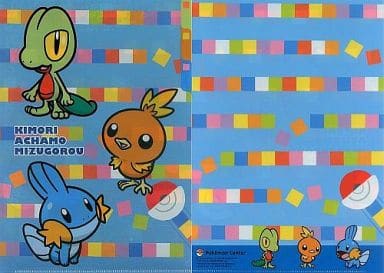 駿河屋 -<中古>キモリ＆アチャモ＆ミズゴロウ 3ポケットA4クリア