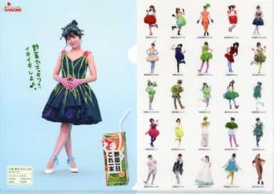 Yuko Oshima Akb48 Clear File Kagome Yasai Ichinichi Koreippon Campaign Goods Accessories Suruga Ya Com
