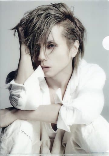 Janne Da Arc Acid Black Cherry クリアファイル Janne Da Arc Acid Black Cherry クリアファイル