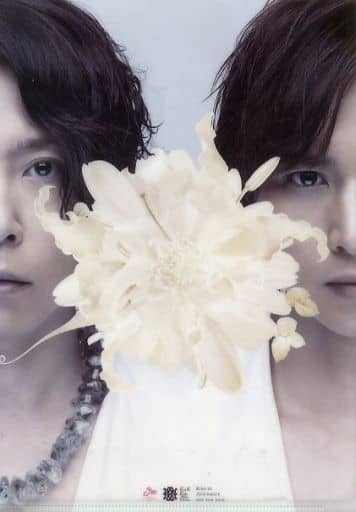 本日限定‼︎【超美品】KinKi Kids 道は手ずから夢の花 A4クリアファイル 駿河屋 -<中古>KinKi Kids A4クリアファイルA 「CD 道は手ずから夢の花