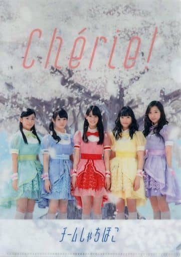 Team Syachihoko Member Color Costume Background Cherry Blossom Clear File Cd Cheerie Tsutaya Purchase Benefits Goods Accessories Suruga Ya Com