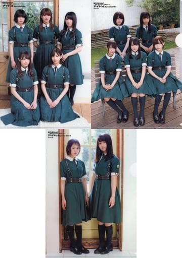 Clear File (Female idol) Keyakizaka46 & Keyakizaka 46B5 Reversible
