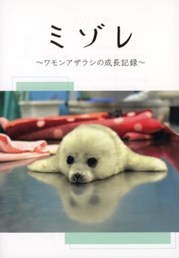 駿河屋 -<中古><<動物・ペット>> ミゾレ-ワモンアザラシの成長