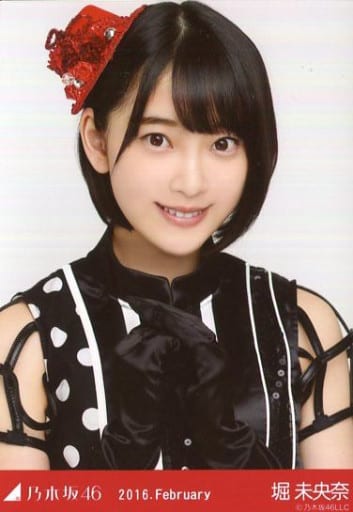 乃木坂 堀未央奈 クリスマスライブ2015 デカタオル 乃木坂 堀未央奈 クリスマスライブ2015 デカタオル
