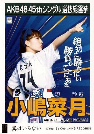 駿河屋 -<中古>小嶋菜月/CD「翼はいらない」劇場盤特典生写真（女性生