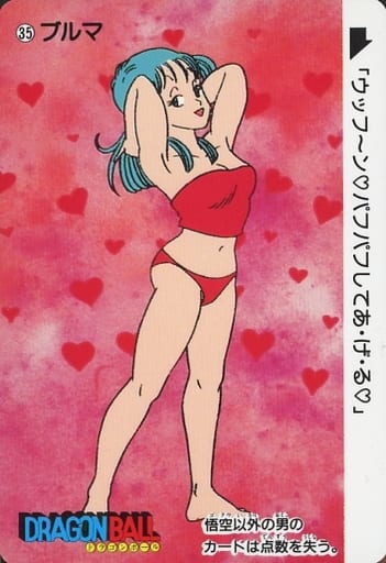 駿河屋 -<中古>35[ノーマル]：ブルマ（アニメ・ゲーム）