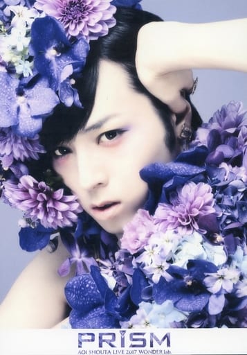 Official Photo Male Voice Actor Shouta Aoi Face Up Left Flower Shouta Aoi Live 17 Wonder Lab Prism Bromide B Goods Accessories Suruga Ya Com