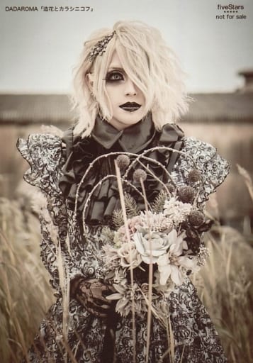 Official photo (Male) / visual kei Band / DADAROMA DADAROMA / Taiga Shi ...