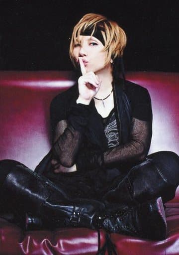 駿河屋 -<中古>Acid Black Cherry/yasu/全身・座り/CD「蝶