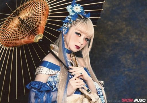 駿河屋 -<中古>GARNiDELiA/メイリア/CD「響喜乱舞」アニメイト
