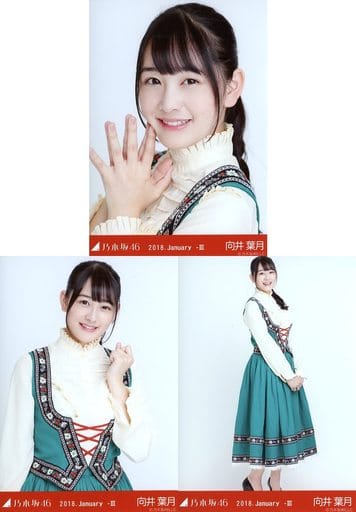 駿河屋 -<中古>◇向井葉月/乃木坂46 2018.January-III 会場限定