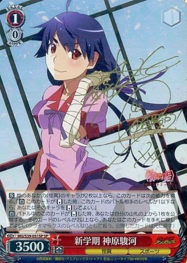 Mg S39 051sp Sp 車篷 新學期神原駿河 沼澤城程度袖長金箔按的有簽名 玩具模型 Suruga Ya Com