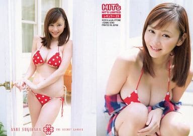 Regular 23 : Anri Sugihara / Regular / "Anri Sugihara - Secret Flower