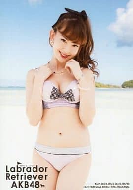 駿河屋 -<中古>小嶋陽菜/水着・膝上/CD｢ラブラドール