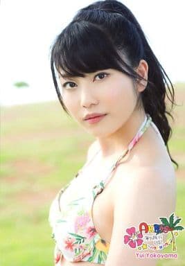 横山由依 BOX　AKB48　海外旅行日記 〜ハワイはハワイ〜 Amazon.co.jp: AKB48 海外旅行日記3 ハワイはハワイ : AKB48: 本