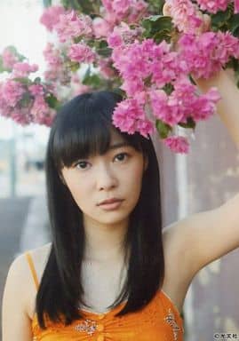 駿河屋 -<中古>指原莉乃/写真集「猫に負けた」セブンネットショピング