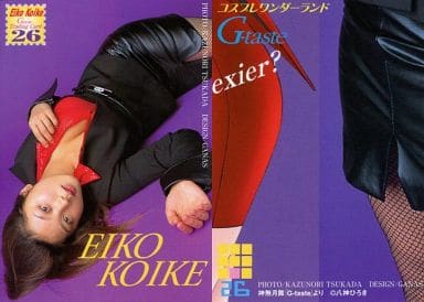 小池栄子さんグッズ セット カード トレカ バインダー コレクション まとめ Amazon.co.jp: G-taste 実写版コスプレ 小池栄子 55-63 トレーディング