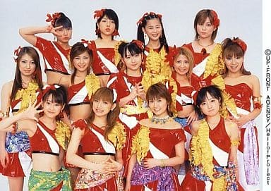 モーニング娘。　集合　L判　写真　生写真 駿河屋 -<中古>モーニング娘。/集合(12人)/横型/トレカサイズ生