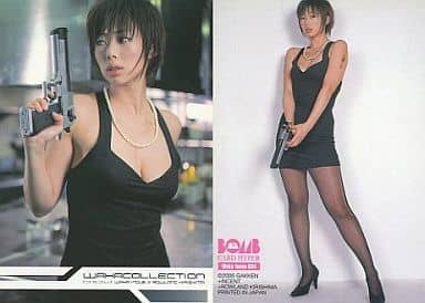 井上和香2 トレーディングカード コレクションカード(女性)/井上和香 2 トレーディングカード Waka