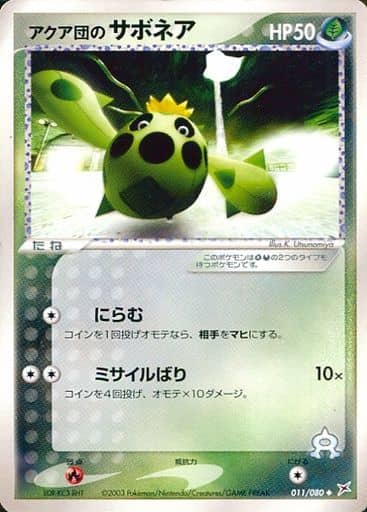 Team Aqua's Cacnea