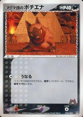 Team Magma's Poochyena