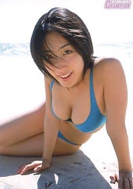 駿河屋 -<中古>佐藤寛子/水着水色・背景ビーチ/ヤング