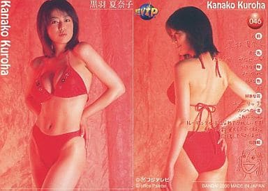 フジテレビ『超V・I・P』PRESENTS THE COMPLETE 黒羽夏奈子 [DVD] Amazon.co.jp: 黒羽夏奈子[DVD] : 本