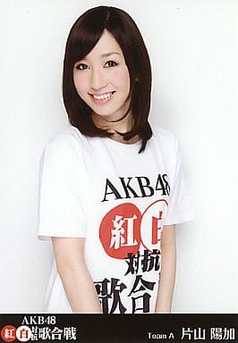 一方山陽加 Dvd Akb 48 紅白對抗歌交戰 雜貨 小配件 Suruga Ya Com