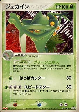Pokemon Card Game P Pokemon Chocolate Snack 3 063 Pcg P P Sceptile Toy Hobby Suruga Ya Com