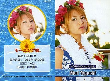 No 37 Mari Yaguchi Upper Body Hibiscus Pattern Blue Clothes Back Side Profile Toy Hobby Suruga Ya Com