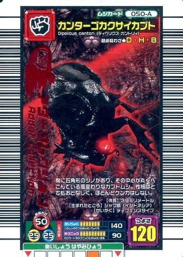 050A Dipelicus cantori Toy Hobby