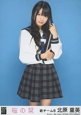 Rie Hideshi Kitahara Sakura No Shiori Privilege Goods Accessories Suruga Ya Com