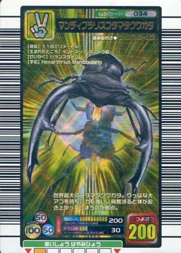 駿河屋 -<中古>034[金]：マンディブラリスフタマタクワガタ（ムシキング）