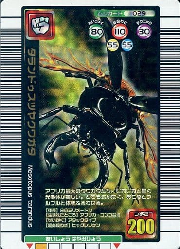 駿河屋 -<中古>029[金]：タランドゥスツヤクワガタ（ムシキング）