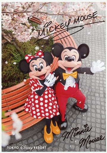 Mickey Mouse Minnie Mouse Whole Body Costume Black Red White Polka Dot Print With Signature Official Official Photo Goods Accessories Suruga Ya Com