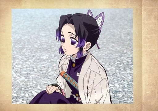 Anime Torayca Kimetsu No Yaiba Polaroid Photo Card Sononi 42 Shinobu Kocho Toy Hobby Suruga Ya Com