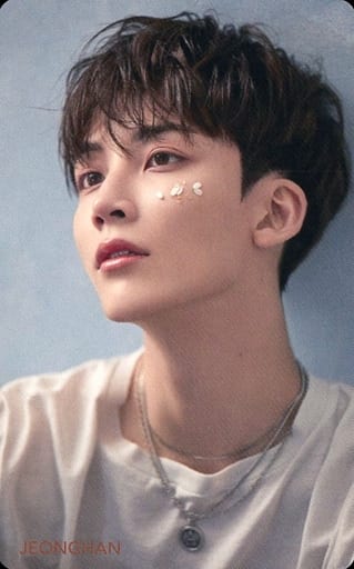 舞い落ちる花びら(Fallin' Flower)ジョンハン SEVENTEEN JAPAN 2ND SINGLE「舞い落ちる花びら (Fallin' Flower)」