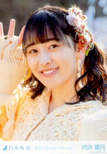 駿河屋 -<中古>向井葉月/顔アップ・右手上げ/「「毎日がBrand new day