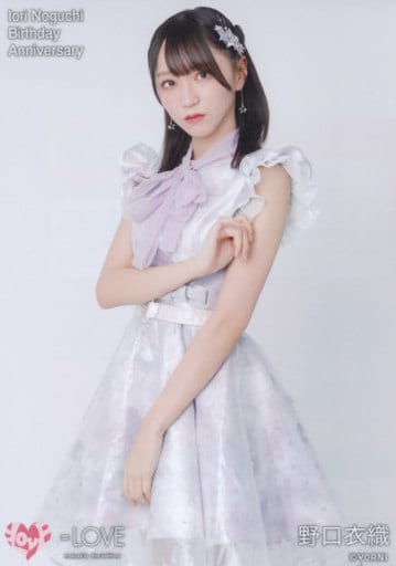 等同於愛 Love 野口衣織 膝上白 Birthday Anniversary Love野口衣織誕生紀念生寫真 雜貨 小配件 Suruga Ya Com