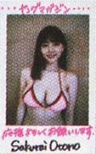 駿河屋 -<中古>☆櫻井音乃/直筆サイン、メッセージ入り/雑誌「週刊