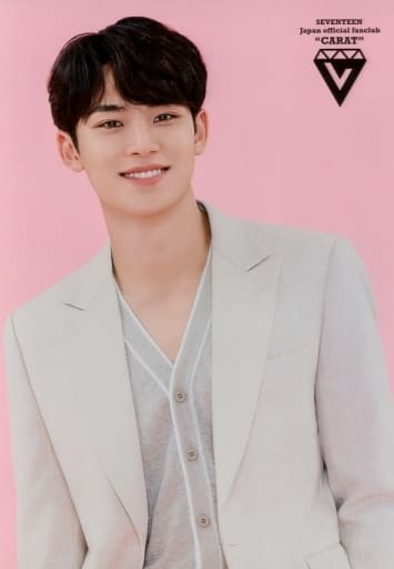 駿河屋 -<中古>SEVENTEEN/MINGYU(ミンギュ)/上半身/「ローソンプリント