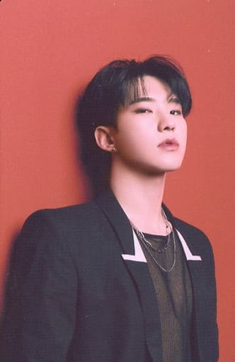 05 : Seventeen / HOSHI / normal card / 