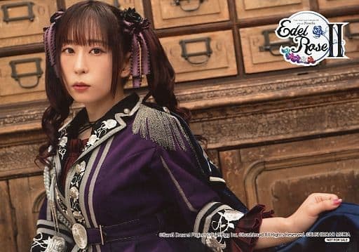 駿河屋 -<中古>Roselia/櫻川めぐ/Voice Actor Card Collection EX VOL